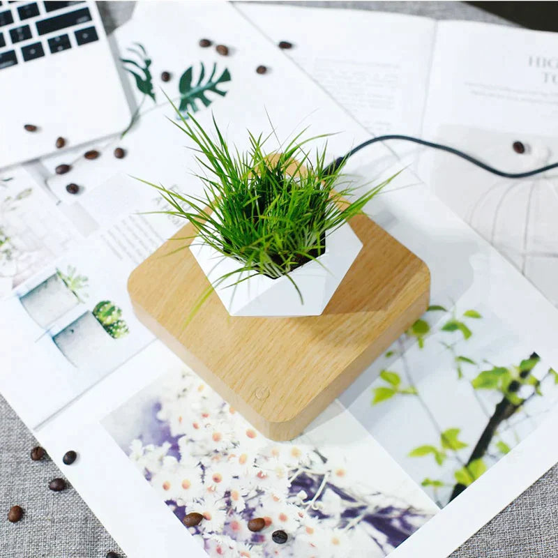 Magnetic Levitating Planters