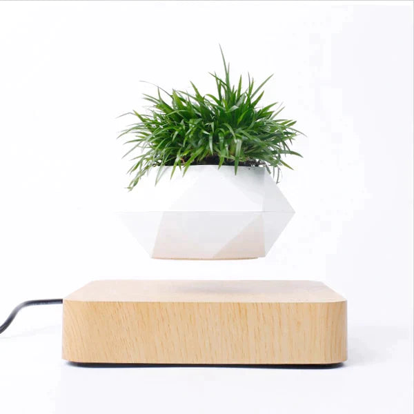 Magnetic Levitating Planters