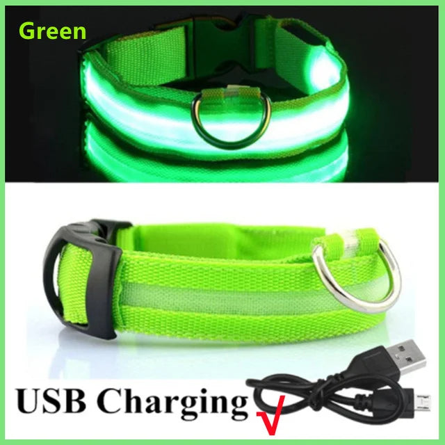 LED Dog Collars