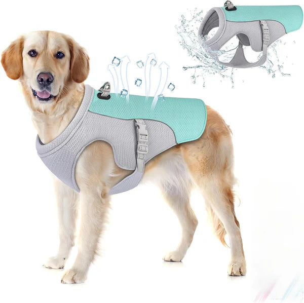 Dog Cooling Vest Dog Harness Cooler Jacket